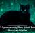 U.S. Cybersecurity Pros Admit Role in BlackCat Attacks